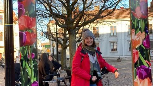 Göteburg, Haga-Viertel, Rahmen, Schweden 