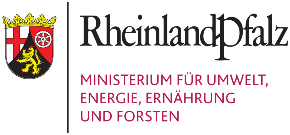 Logo MUEFF