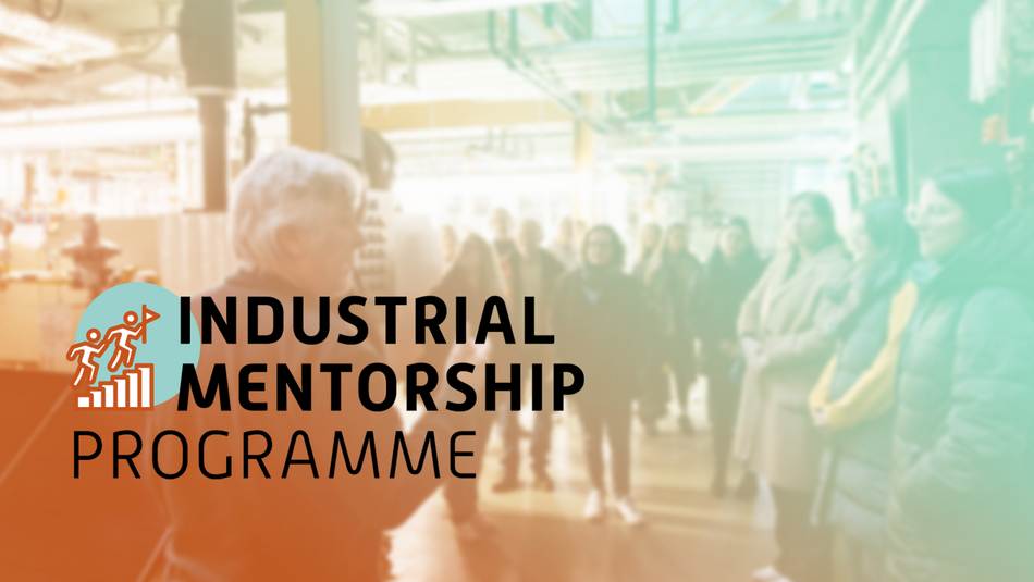 Industrial Mentorship Programme