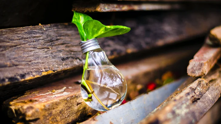 VIP+ Innovationen und Ideen
